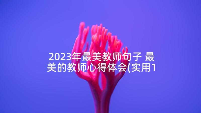 2023年最美教师句子 最美的教师心得体会(实用10篇)