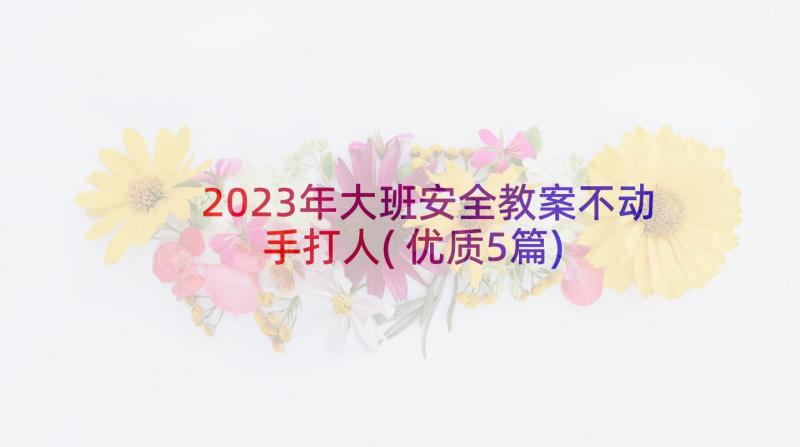 2023年大班安全教案不动手打人(优质5篇)