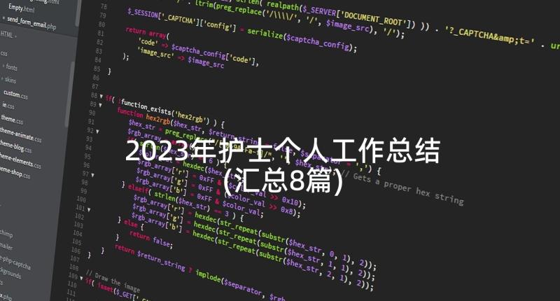 2023年护士个人工作总结(汇总8篇)