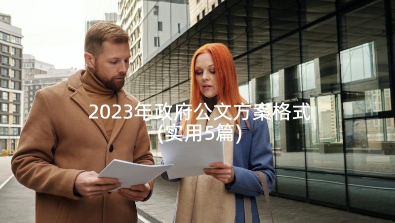 2023年政府公文方案格式(实用5篇)