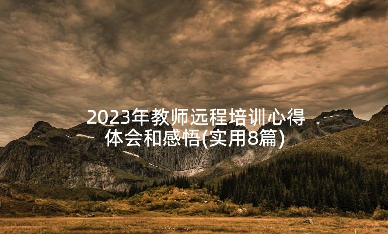 2023年教师远程培训心得体会和感悟(实用8篇)