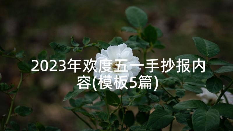 2023年欢度五一手抄报内容(模板5篇)