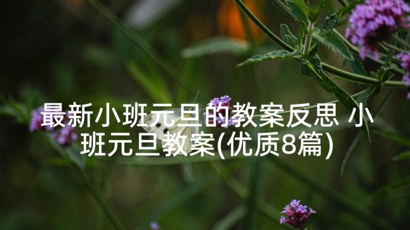 最新小班元旦的教案反思 小班元旦教案(优质8篇)