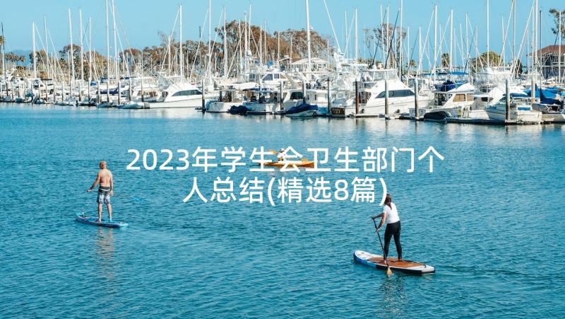 2023年学生会卫生部门个人总结(精选8篇)