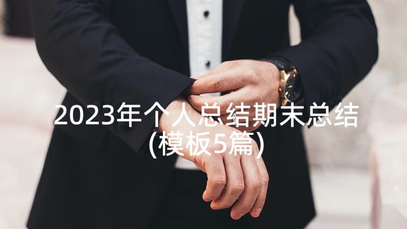 2023年个人总结期末总结(模板5篇)