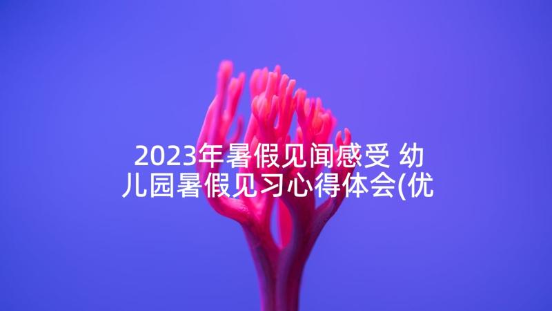 2023年暑假见闻感受 幼儿园暑假见习心得体会(优秀5篇)