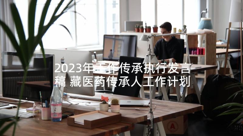 2023年工作传承执行发言稿 藏医药传承人工作计划(模板5篇)