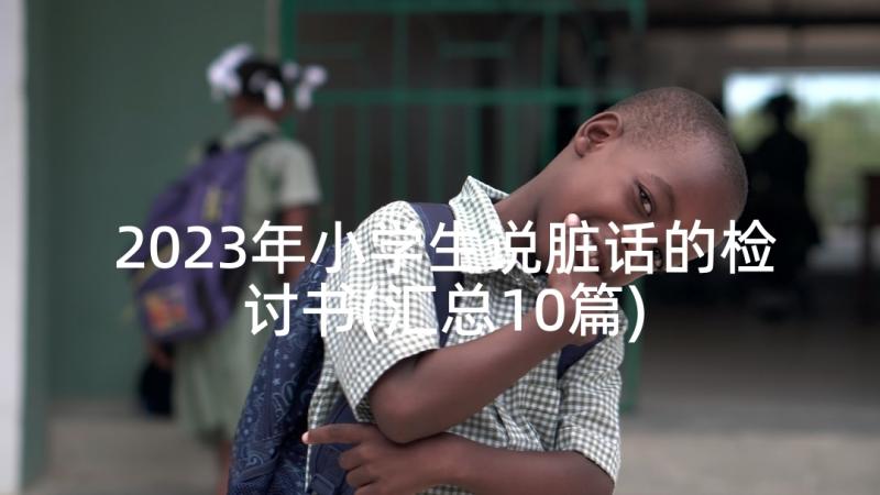 2023年小学生说脏话的检讨书(汇总10篇)