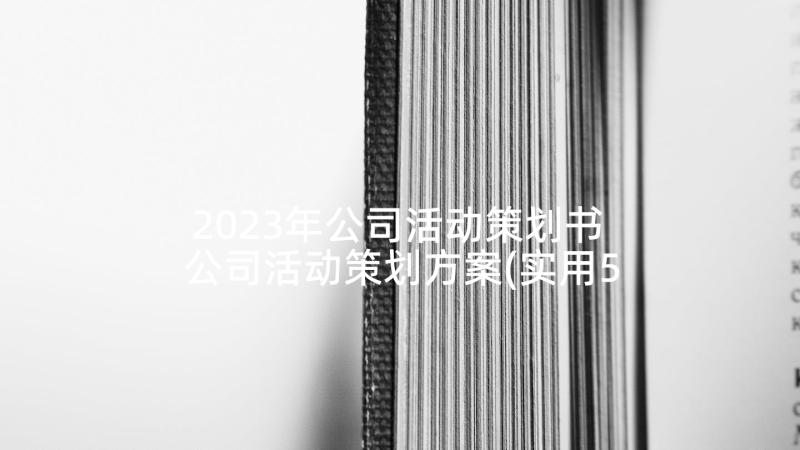 2023年公司活动策划书 公司活动策划方案(实用5篇)