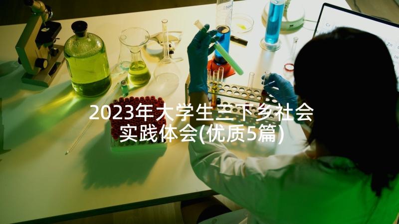 2023年大学生三下乡社会实践体会(优质5篇)