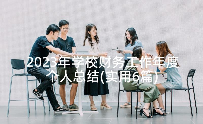 2023年学校财务工作年度个人总结(实用6篇)