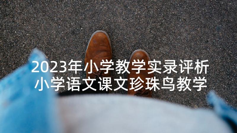 2023年小学教学实录评析 小学语文课文珍珠鸟教学实录(通用9篇)