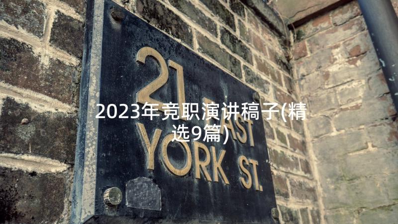 2023年竞职演讲稿子(精选9篇)