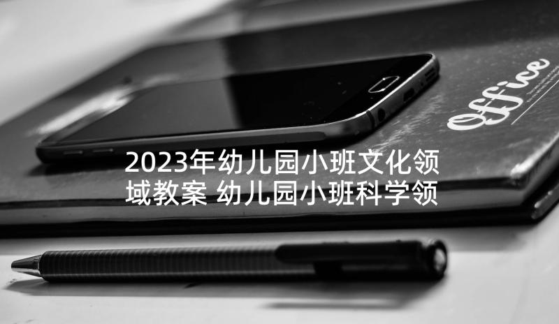 2023年幼儿园小班文化领域教案 幼儿园小班科学领域教案(优秀10篇)