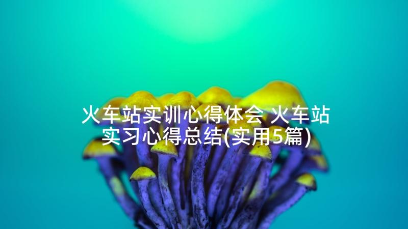 火车站实训心得体会 火车站实习心得总结(实用5篇)