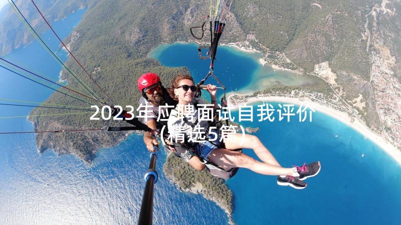 2023年应聘面试自我评价(精选5篇)