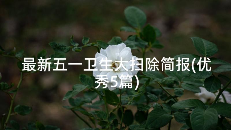 最新五一卫生大扫除简报(优秀5篇)