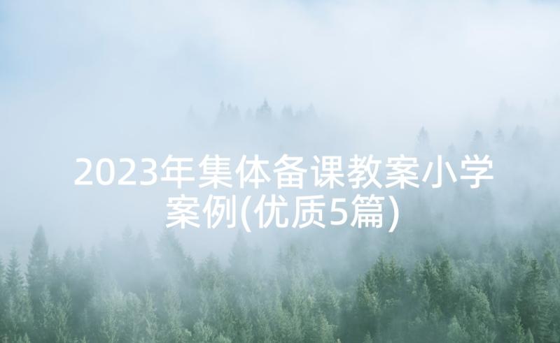 2023年集体备课教案小学案例(优质5篇)