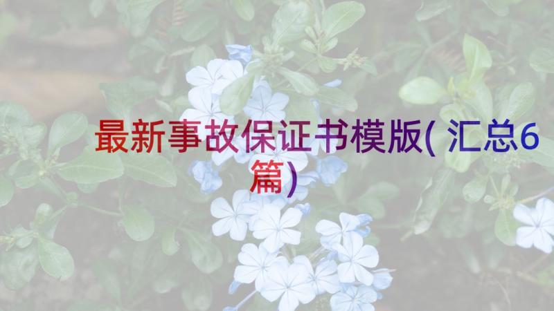 最新事故保证书模版(汇总6篇)