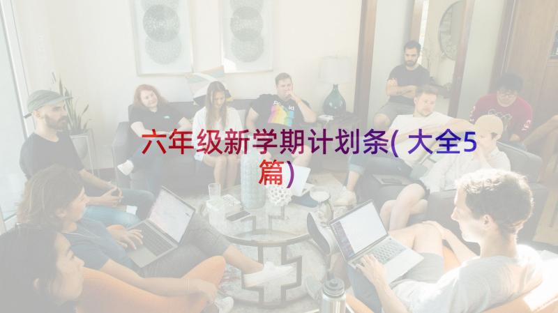 六年级新学期计划条(大全5篇)