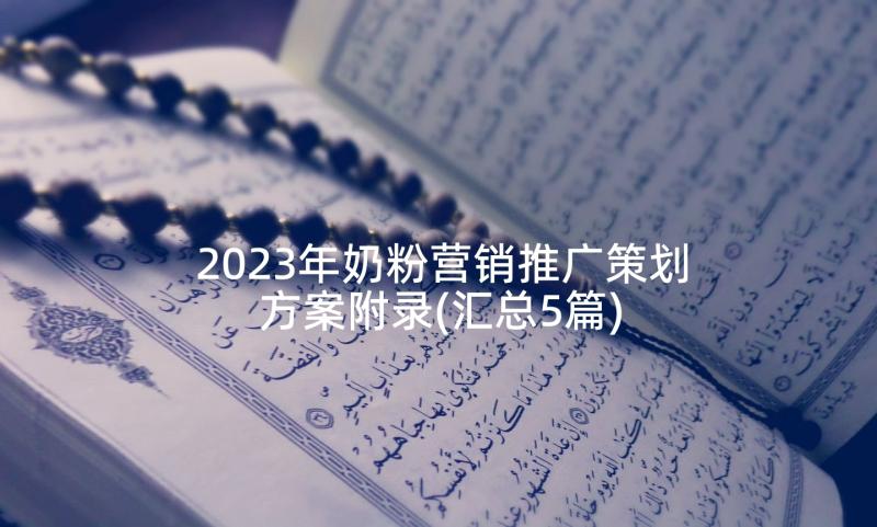 2023年奶粉营销推广策划方案附录(汇总5篇)