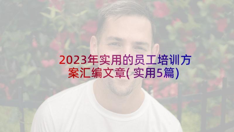 2023年实用的员工培训方案汇编文章(实用5篇)