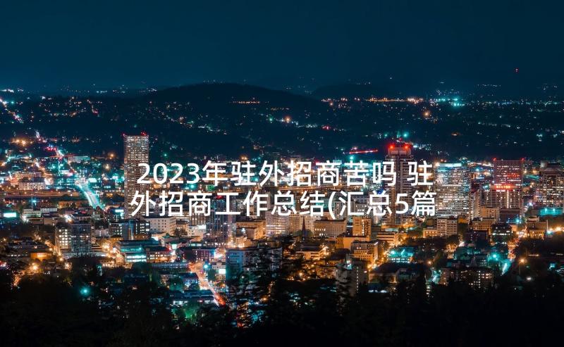 2023年驻外招商苦吗 驻外招商工作总结(汇总5篇)