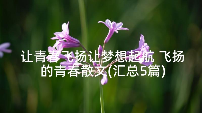 让青春飞扬让梦想起航 飞扬的青春散文(汇总5篇)