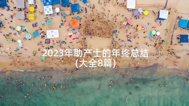 2023年助产士的年终总结(大全8篇)