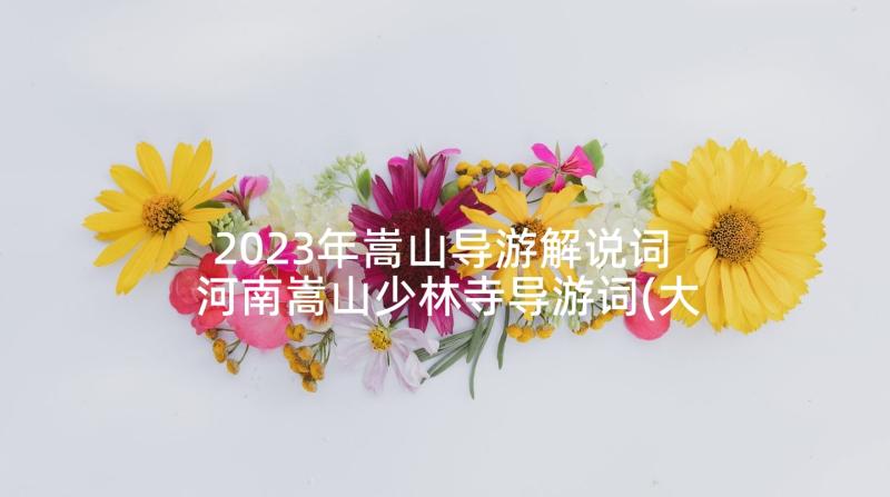 2023年嵩山导游解说词 河南嵩山少林寺导游词(大全5篇)