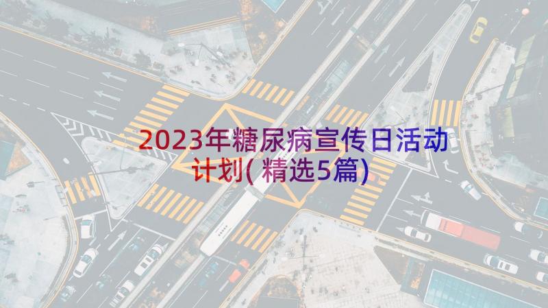 2023年糖尿病宣传日活动计划(精选5篇)