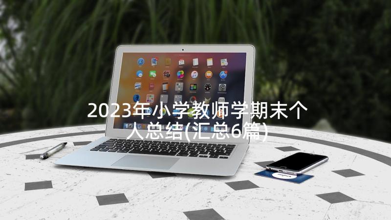 2023年小学教师学期末个人总结(汇总6篇)