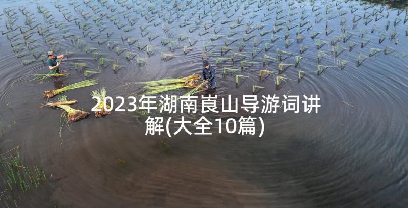 2023年湖南崀山导游词讲解(大全10篇)