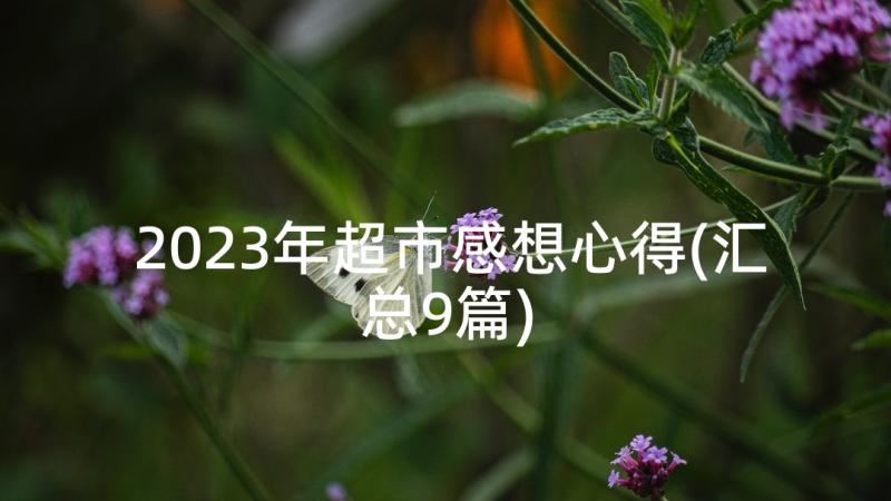 2023年超市感想心得(汇总9篇)