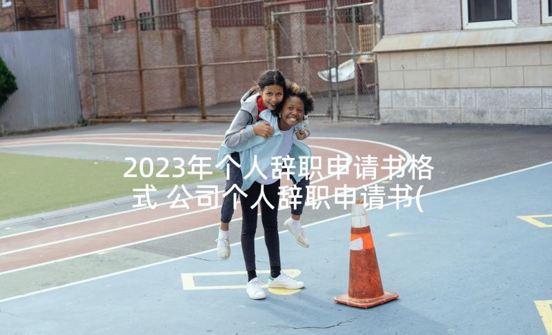 2023年个人辞职申请书格式 公司个人辞职申请书(优秀7篇)