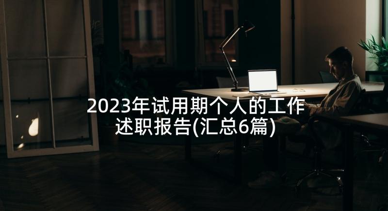 2023年试用期个人的工作述职报告(汇总6篇)