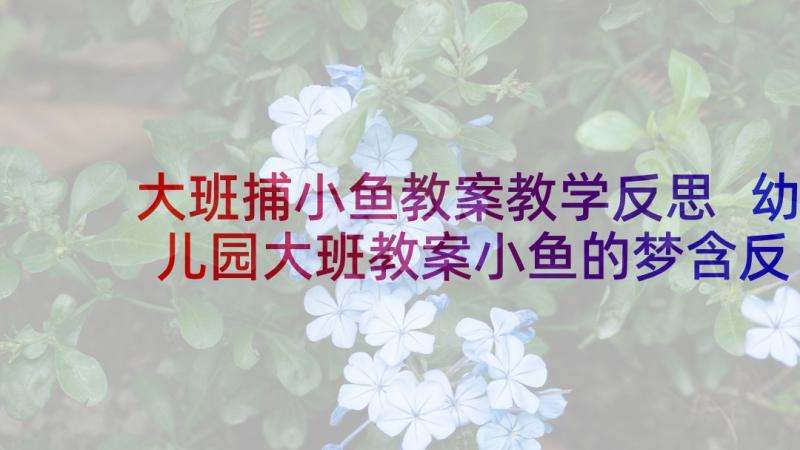 大班捕小鱼教案教学反思 幼儿园大班教案小鱼的梦含反思(优质7篇)