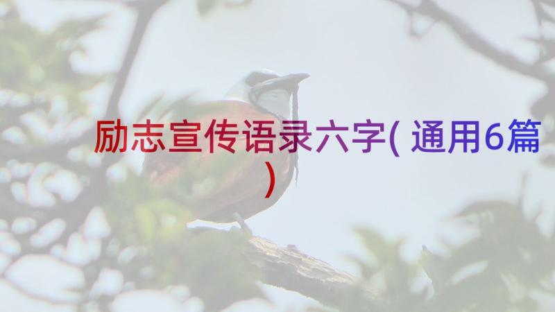 励志宣传语录六字(通用6篇)