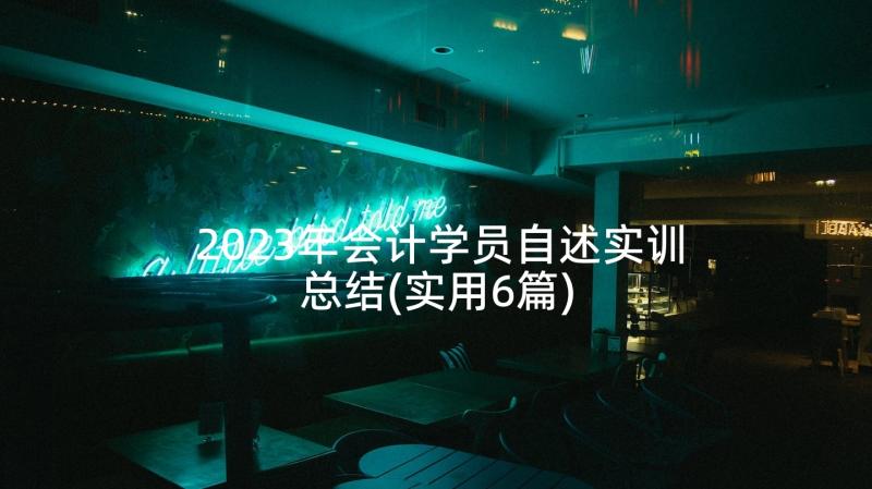 2023年会计学员自述实训总结(实用6篇)