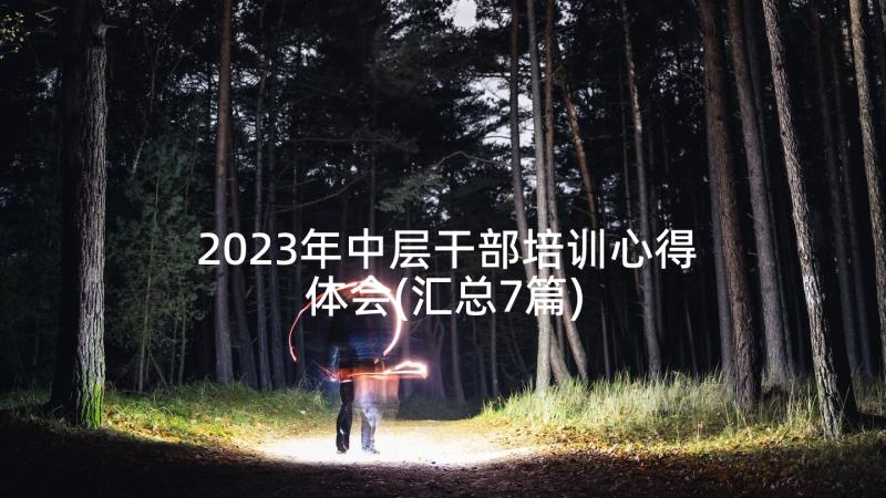 2023年中层干部培训心得体会(汇总7篇)