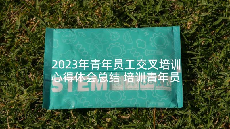 2023年青年员工交叉培训心得体会总结 培训青年员工心得体会(汇总5篇)