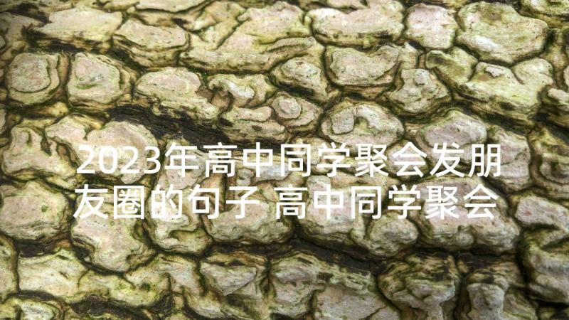 2023年高中同学聚会发朋友圈的句子 高中同学聚会发言稿(精选7篇)