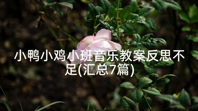 小鸭小鸡小班音乐教案反思不足(汇总7篇)