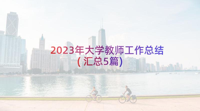 2023年大学教师工作总结(汇总5篇)