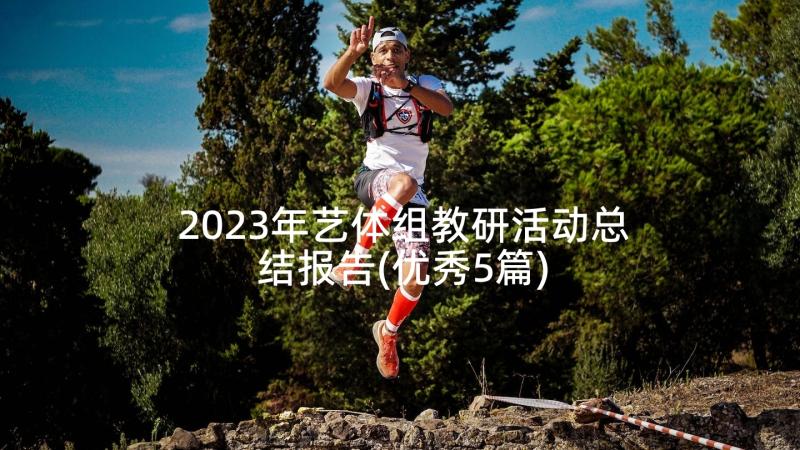 2023年艺体组教研活动总结报告(优秀5篇)