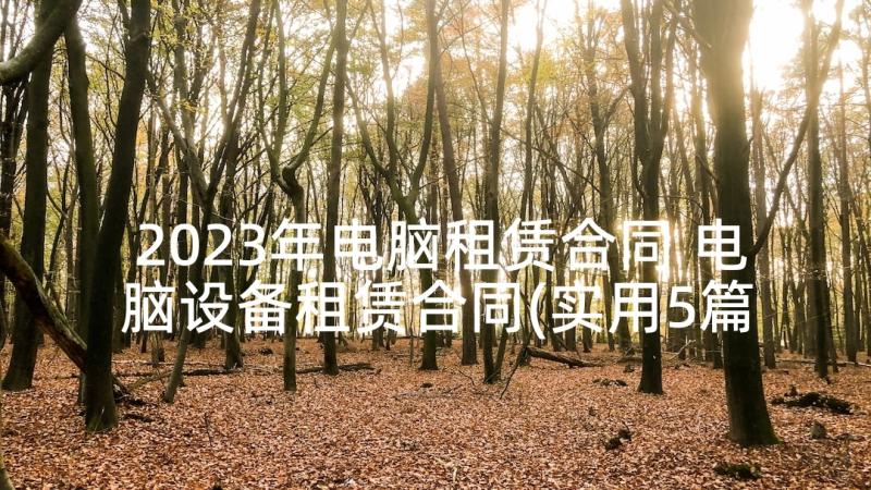 2023年电脑租赁合同 电脑设备租赁合同(实用5篇)