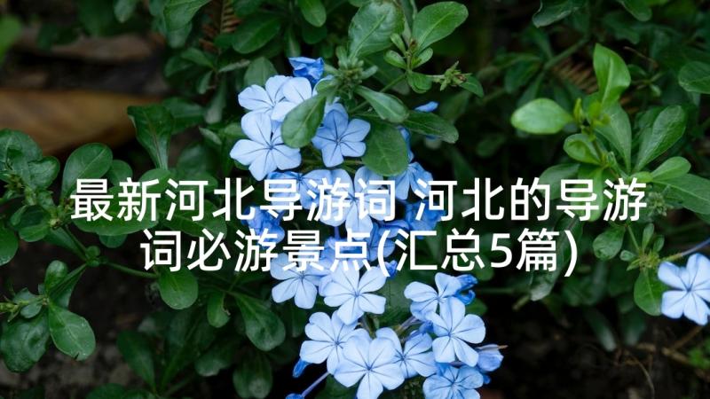 最新河北导游词 河北的导游词必游景点(汇总5篇)