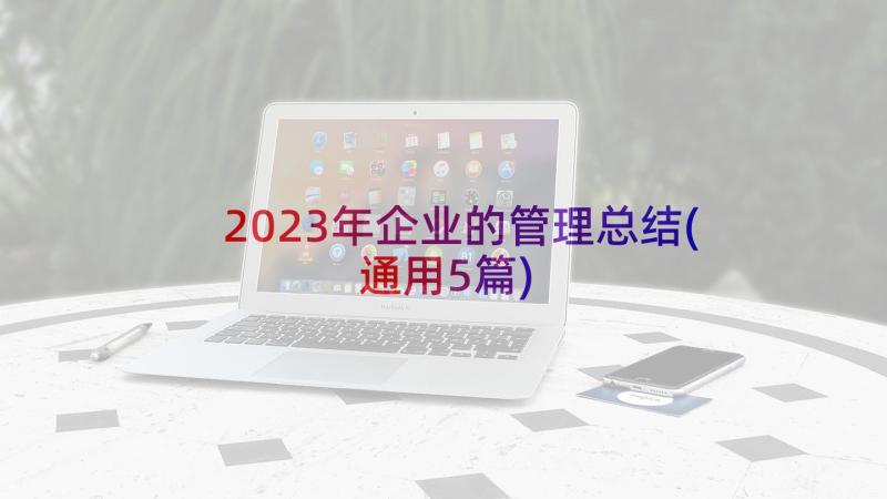 2023年企业的管理总结(通用5篇)