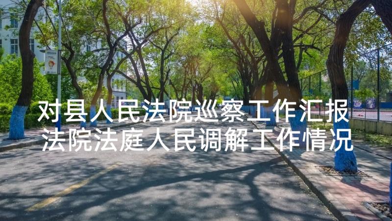 对县人民法院巡察工作汇报 法院法庭人民调解工作情况汇报(优秀5篇)