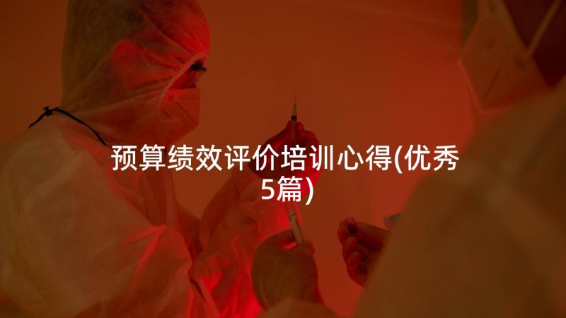 预算绩效评价培训心得(优秀5篇)